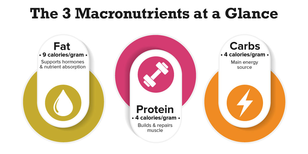 3 Macronutrients