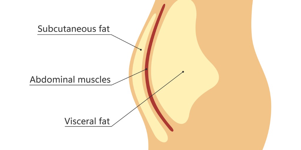 Kinds of fat