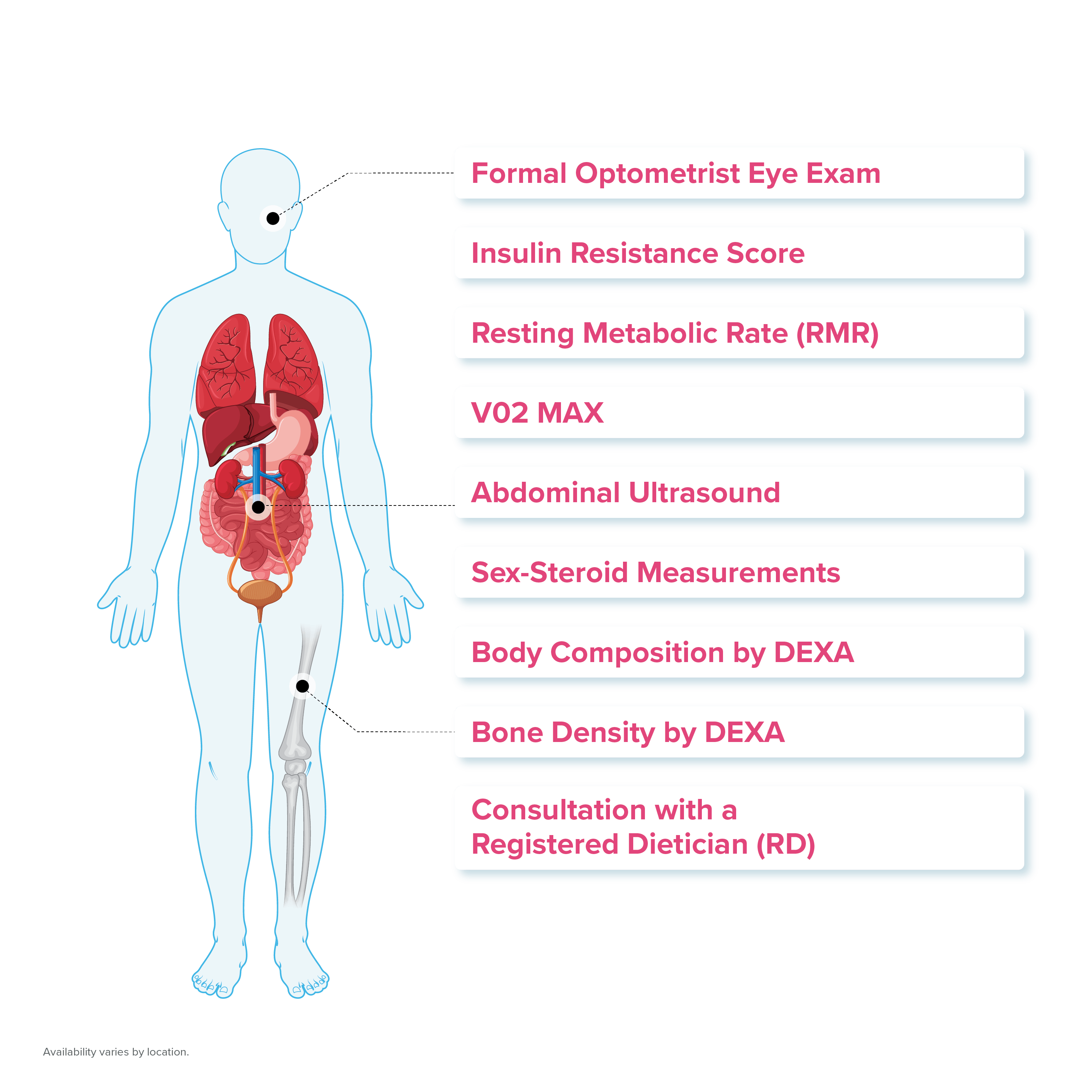 Imact of human body showing list of tests available to address metabolic health during executive physical at PartnerMD