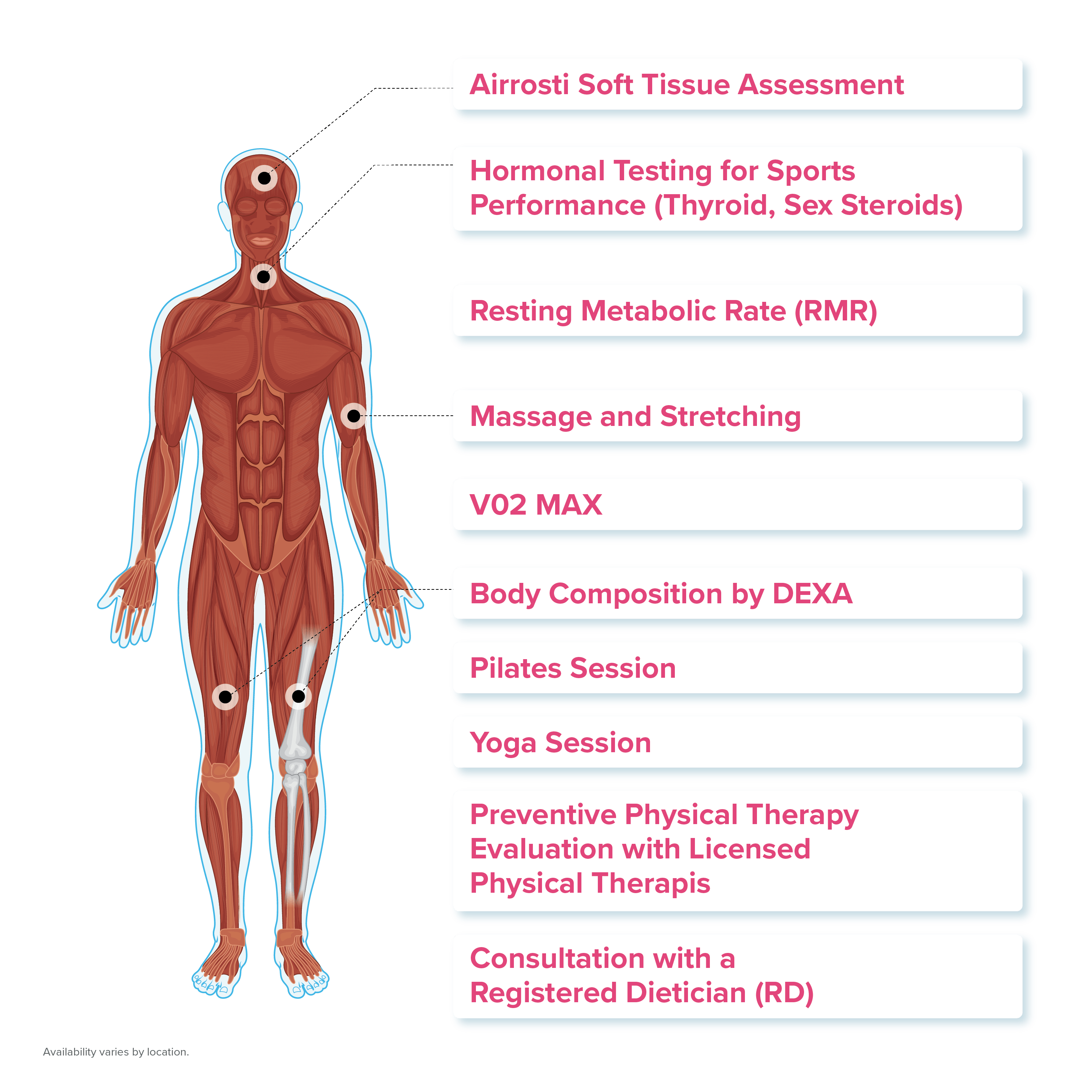 Human body with lists of tests to address high performance athletes during executive physical at PartnerMD