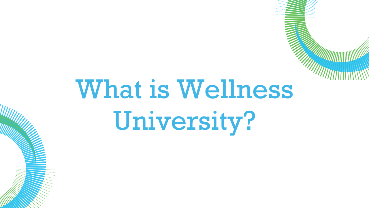 Video explaining what Wellness University is