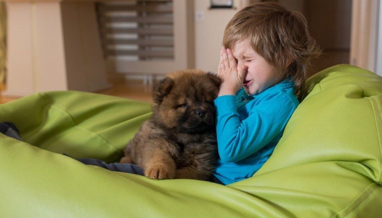 allergic-little-boy-and-puppy-on-bean-bag