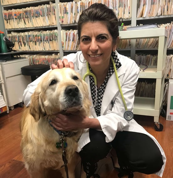 Dr. Mandana Shafai, a concierge doctor in McLean, VA, with a good boy