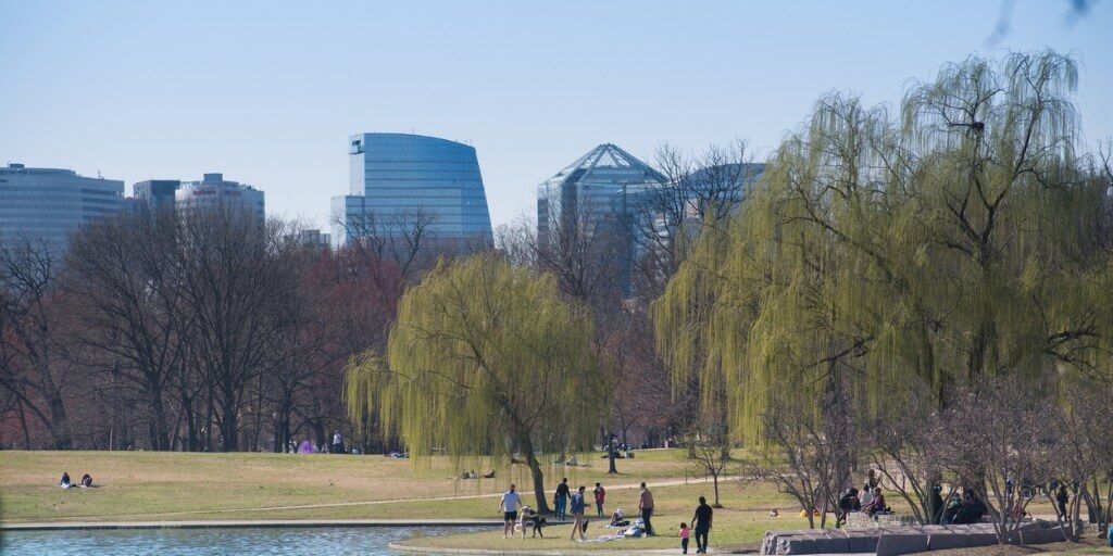 Picture of Northern Virginia skyline from park