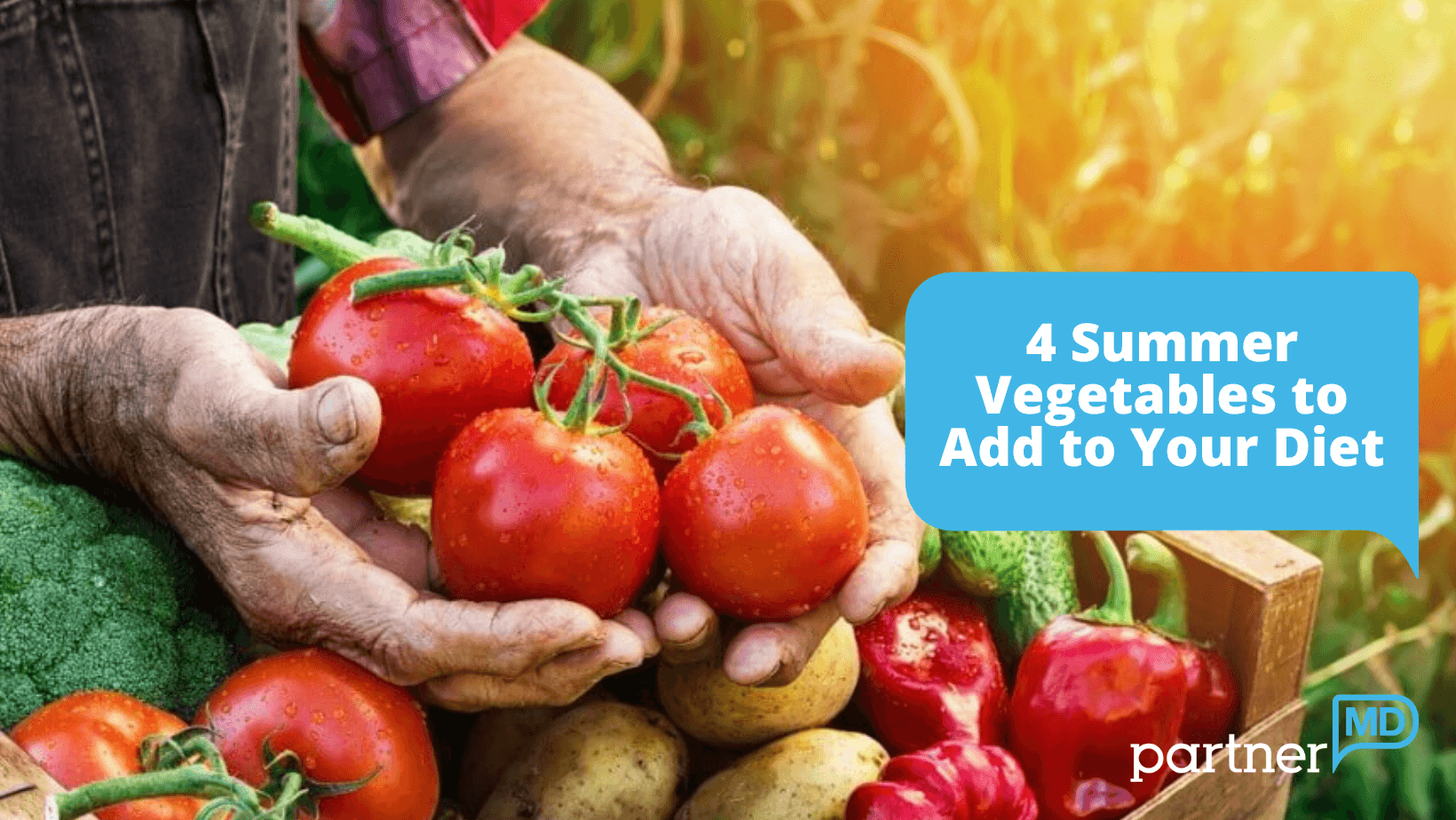 Person holding four red tomatoes