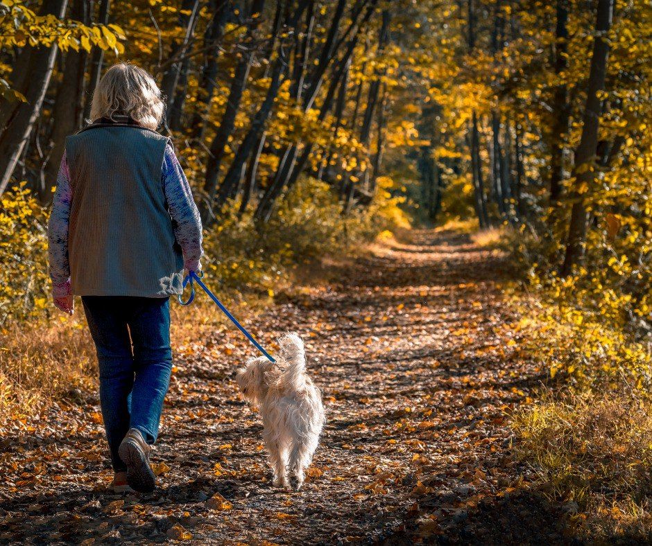 Workouts for Seniors: 4 Things to Consider Before Getting Started