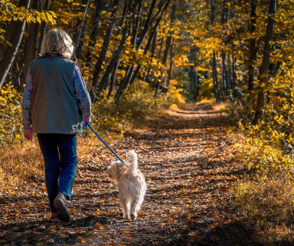 Woman walking her dog in the park