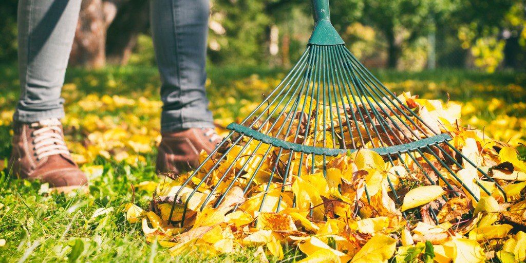 gardener-woman-raking-up-autumn-leaves-in-garden-woman-standing-with-picture-id998706206-FACEBOOK
