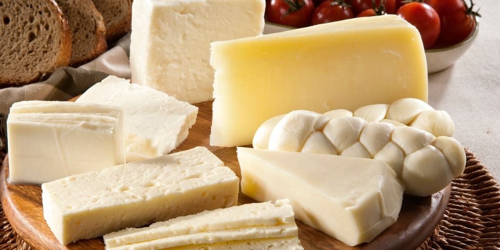 Cheese & Nutrition: Cognitive Health, Probiotics, Protein, and More